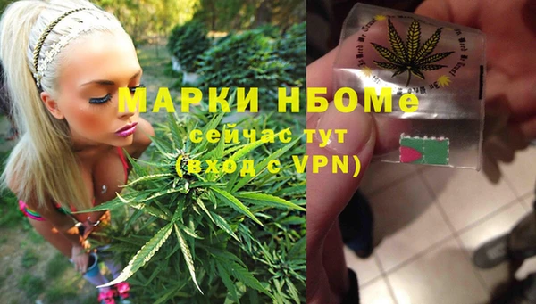 стаф Кинешма