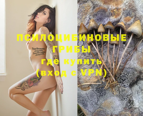стаф Кинешма