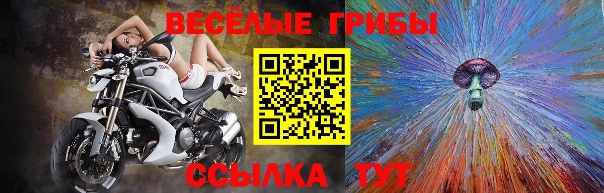 Галлюциногенные грибы ЛСД  Волгодонск 