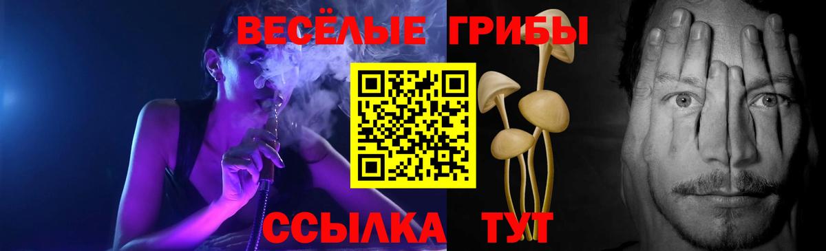Галлюциногенные грибы GOLDEN TEACHER Волгодонск